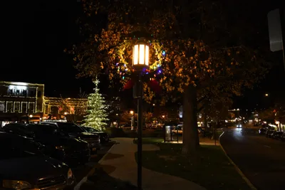 DSC_0034 (Large).JPG